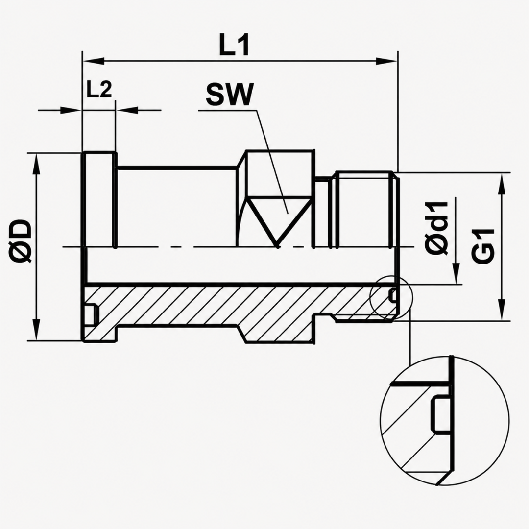 FL.S6.AD.ORFS(M)-02