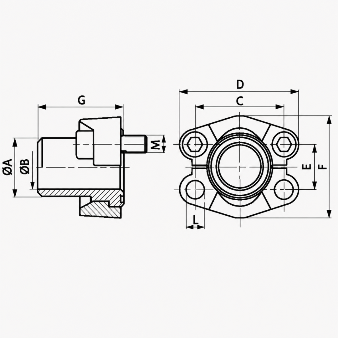 FL.S3.COLL-02