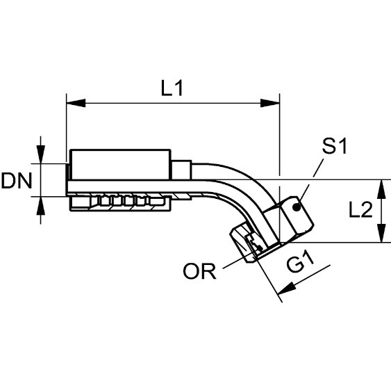 z51