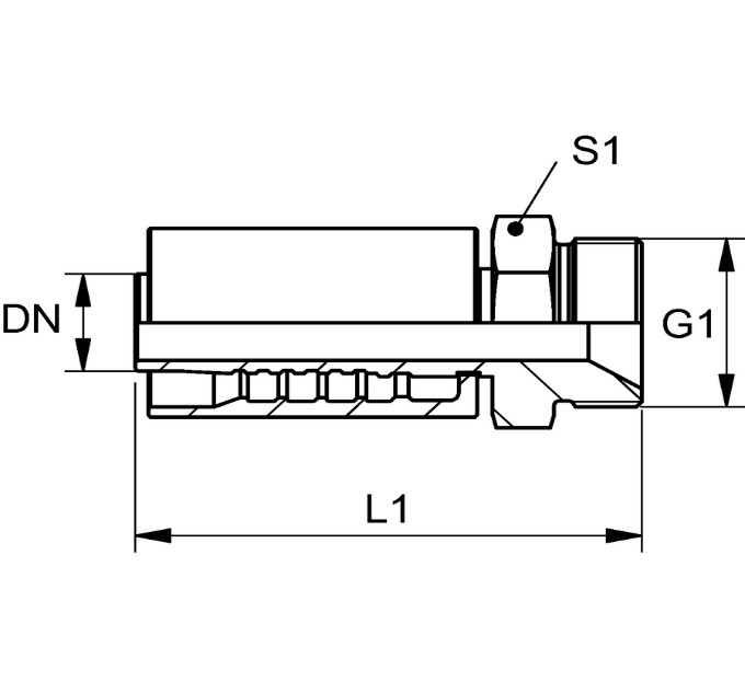 z54
